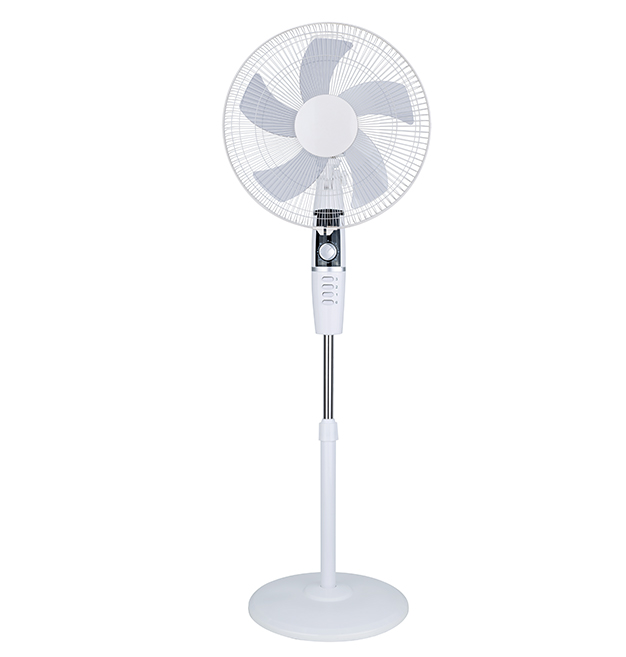 Stand Fan