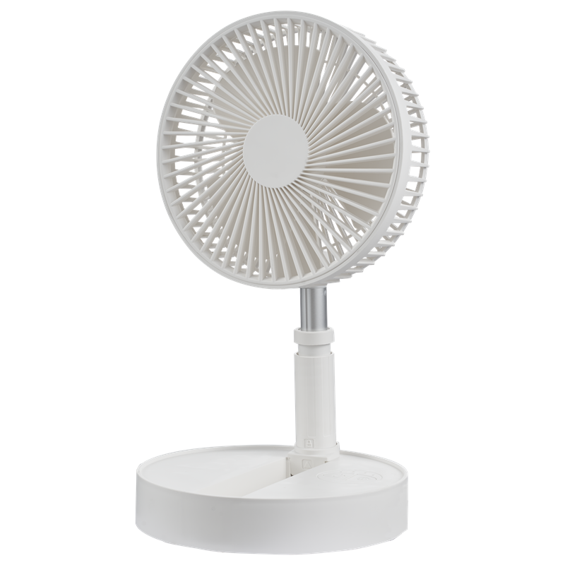 stand fan (2)